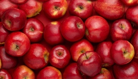 "Сади Карлівщини" хочуть наростити площу яблуневого саду на 35 гектарів 