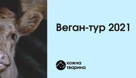 До Полтави завітає просвітницький всеукраїнський веган-тур