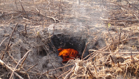 Полтавські рятувальники закликають не спалювати сміття та суху траву
