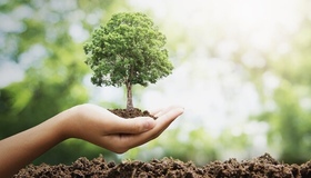 "Зелена країна": під Полтавою висадили дев'ять тисяч нових дерев