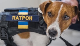 Кондитерська фірма з Полтавщини назвала цукерки на честь пса Патрона