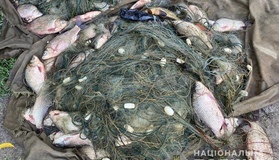 Поліція викрила браконьєра з незаконним уловом риби майже на мільйон
