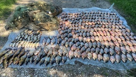 На Полтавщині викрили браконьєра з уловом на мільйон