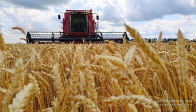На Полтавщині намолотили понад мільйон тонн зерна