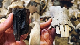 Чергові археологічні знахідки виявили на Котелевщині