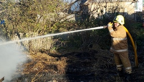 На Полтавщині  пожежа знищила сінник із сімома тоннами сіна
