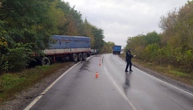 На Полтавщині в автотрощі загинув 60-річний водій