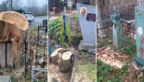 У Полтаві на Єврейському кладовищі вирубували дерева та пошкодили надгробки
