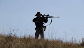 Заборона полювання: одного порушника притягли до кримінальної відповідальності 