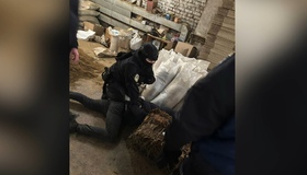 На Полтавщині у підпільному цеху знайшли двадцять тонн тютюну