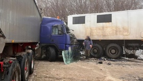 На Полтавщині зіткнулися вантажівки МАЗ та Volvo