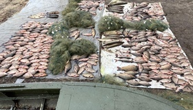 На Полтавщині браконьєри на промисловому судні наловили риби на мільйон гривень