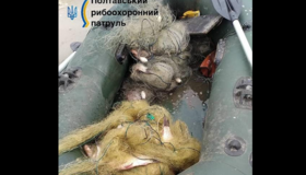На Полтавщині браконьєр наловив риби на 67 тисяч гривень у Сулинському заказнику