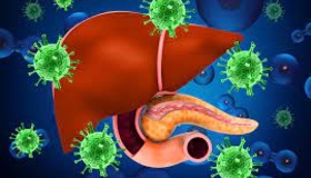 Вірусний гепатит: зараження, симптоми та діагностика