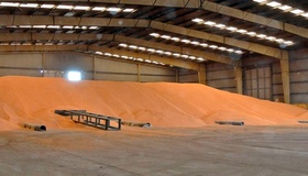 Мільйонні збитки завдали державі полтавські оборудки з зерном