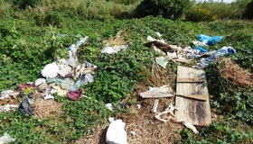 На Полтавщині громади обʼєдналися, щоби боротися зі сміттям
