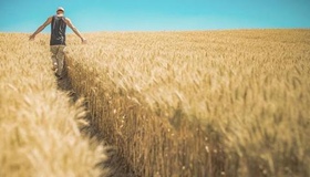 Аграрії області вже зібрали півтора мільйона тонн зерна