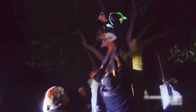 Розшукувану семирічну дівчинку знайшли на дереві