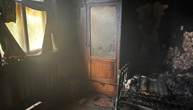 Під Диканькою під час пожежі виявили мертвим господаря будинку