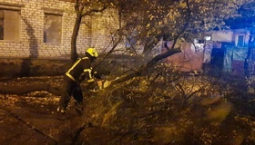 Повалені дерева та підтоплення: на Полтавщині ліквідували наслідки негоди