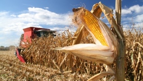 Аграрії Полтавщини намолотили понад три мільйона тонн зерна