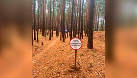 На Полтавщині спиляне дерево впало на 72-річну жінку