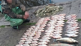 На Полтавщині виявили браконьєра, який наловив риби на 500 тисяч
