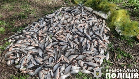 Полтавця зобов'язали виплатити майже 2 млн гривень за незаконний вилов риби