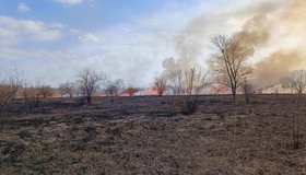 На Полтавщині палають відкриті території