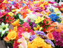 Поминальні дні: полтавців закликали відмовитися від штучних пластикових квітів