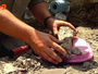 У Кременчуці знайшли скелет динозавра з гніздом