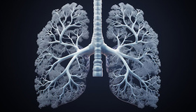 КТ чи МРТ: який вид діагностики підходить для обстеження легенів
