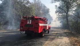 Під Кременчуком горів ліс - пожежу локалізовано