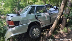 Автотроща на Полтавщині: п'яний водій влетів у дерево