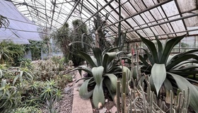 Ботанічний сад у Полтаві: як відвідати і що побачити
