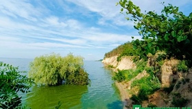 Початок червня: Кременчуцьке водосховище вже позеленіло