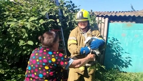 Полтавські надзвичайники врятували пташеня лелеки