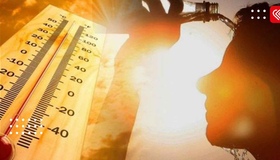Температурний рекорд: на Полтавщині спека сягне 40-41°