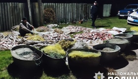 У період нерестової заборони полтавці наловили риби на понад 13 млн гривень