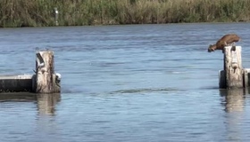 Рівень води у річках Полтавщини знижується до 12 см на добу