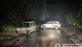 У Пирятині в ДТП загинув пішохід