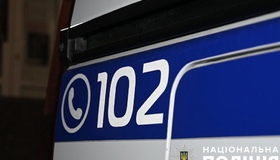 Дрібна крадіжка до 3028 грн: Президент підписав закон