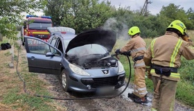У Козельщині врятували автомобіль під час пожежі в ньому