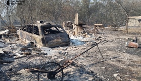 Під Полтавою через лісову пожежу згоріло близько 20 будинків