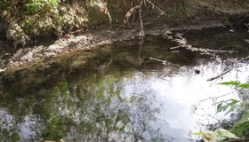 Вперше за 17 років вода в Пушкарівських ставках Полтави стала чистою