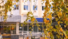 У Полтаві запровадили онлайн-запис до шести профільних лікарів