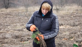 Великорублівська громада приєдналася до Forest Recovery для відновлення лісів