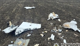 Полтавські вибухотехніки знешкодили уламки російських дронів «Герань-2» та «Гербера»