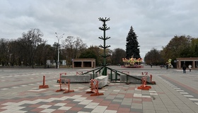 У Полтаві встановлять новорічну ялинку за кошти місцевих меценатів