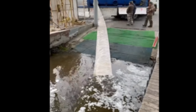 Понад сім тонн товстолоба випустили у водойми Полтавщини